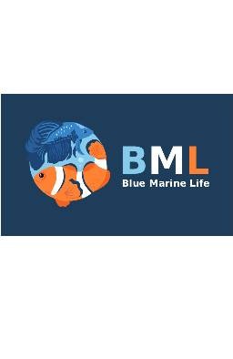 Blue Marine Life Trading