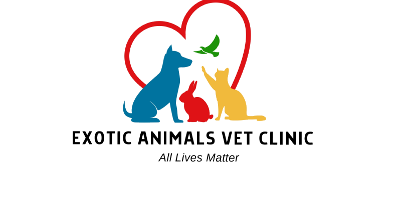 Exotic Animals Vet Clinic